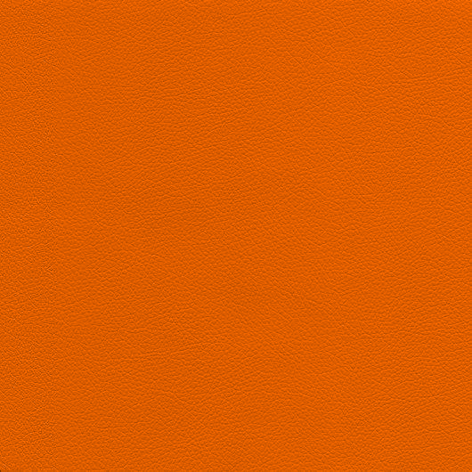 KOM07501-orange