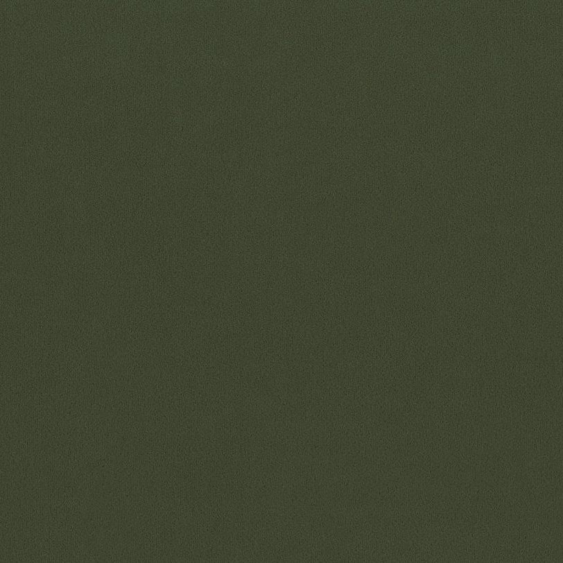 olivgrün MAV38