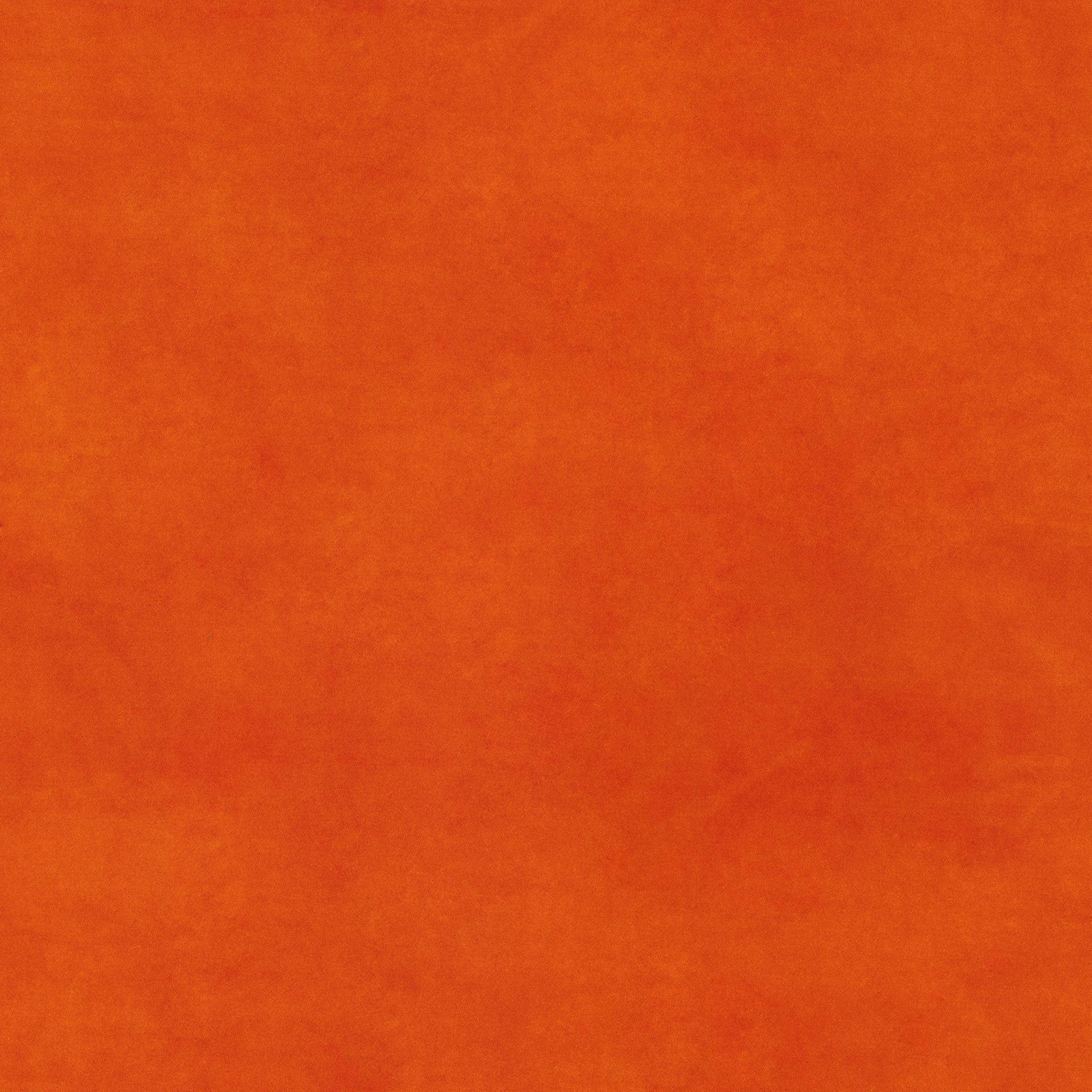 orange BELTE39 (QUICK CLEAN)